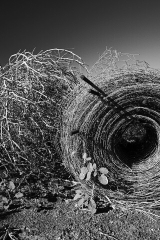 Клубок сена обои