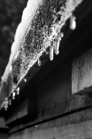 Весенняя капель обои