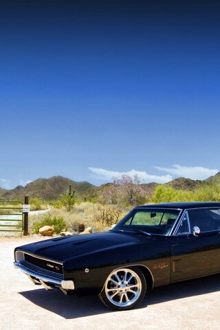 Мускулкар под палящим солнцем обои