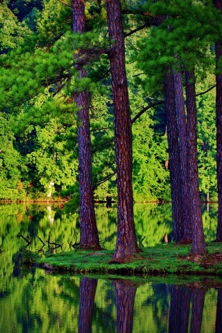 Островок посреди озера обои