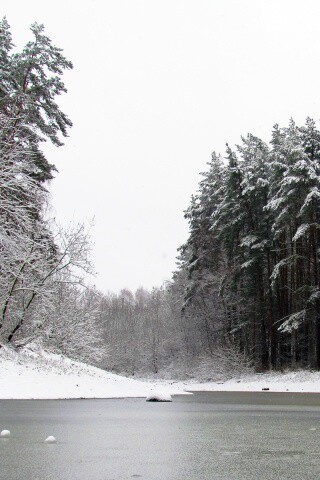 Зимняя дорога обои