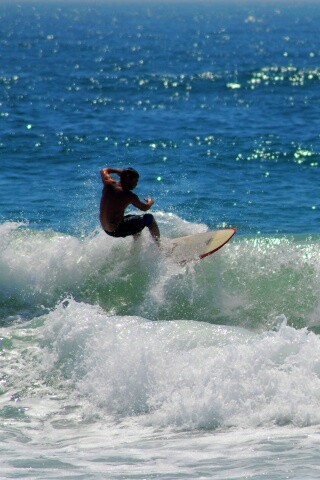 Сёрфенгист поймал волну обои