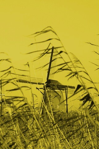 Мельницы обои