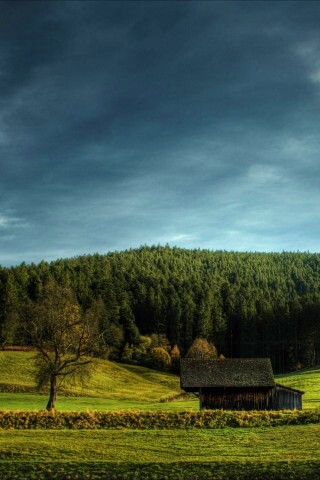 Домик в поле обои