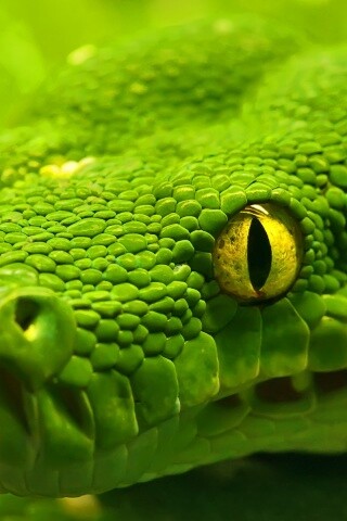 Страшно красивая обои