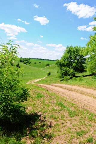 Просёлочная дорога обои