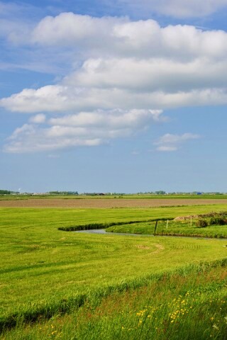 дом на лугу обои