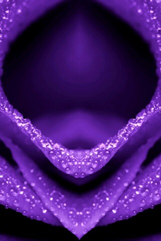 Цветочный зев обои