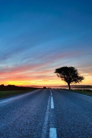 Дорога обои