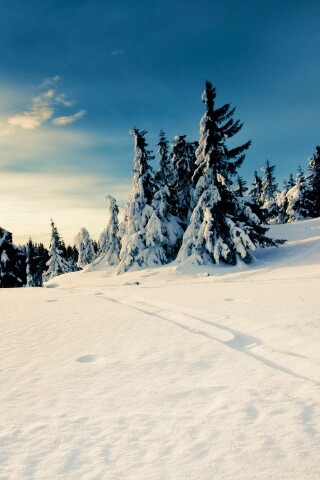 Зимние просторы обои