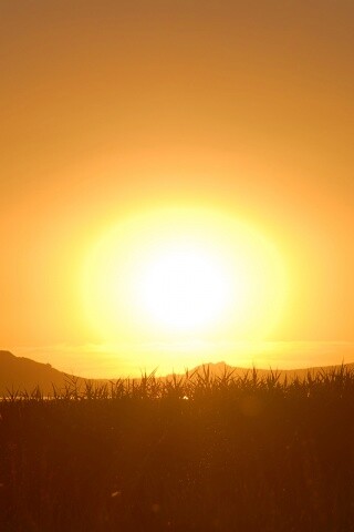 Сельский закат обои