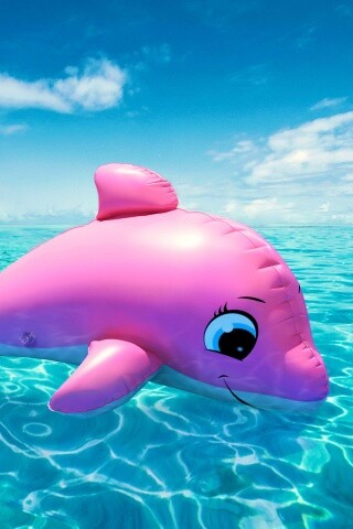 Надувной розовый дельфин обои