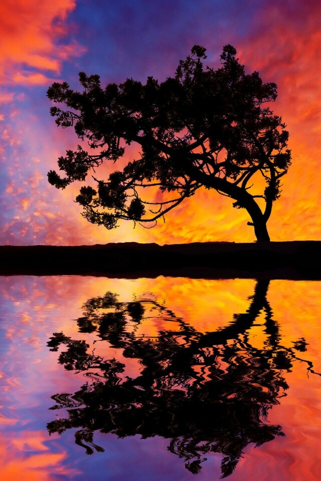 Зеркальное озеро обои