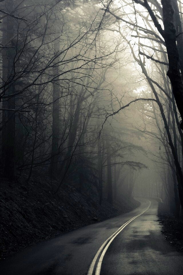 В туман обои