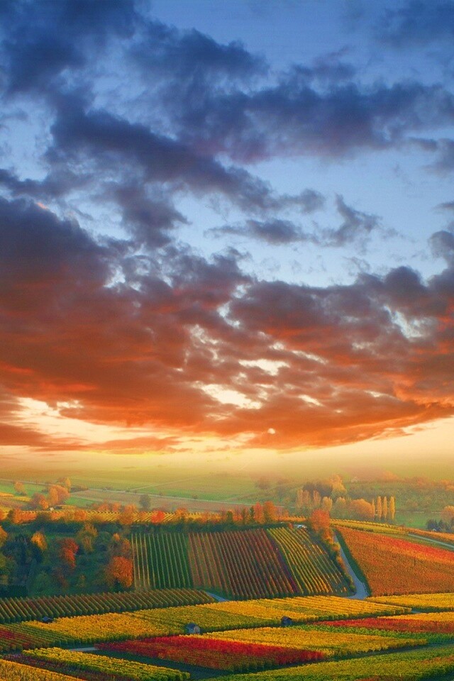 Обработанные земли в пригороде обои