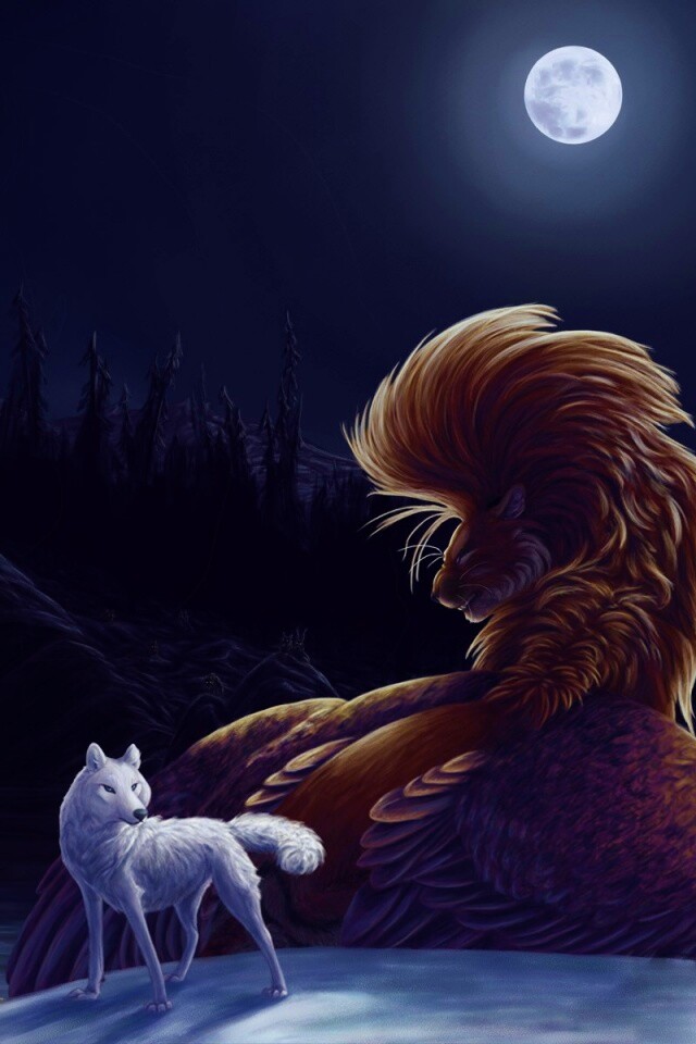 Волк и лев при луне обои