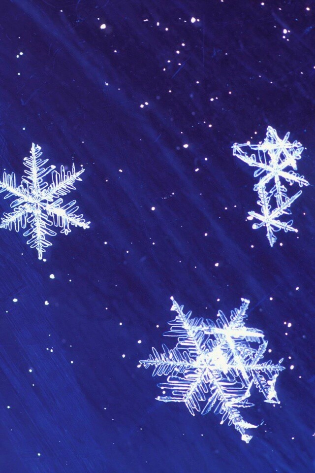 Снежинки обои