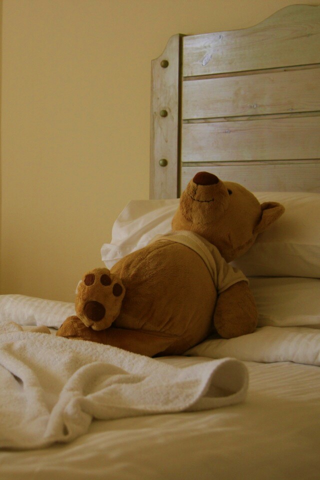 Медвежонок в постели обои