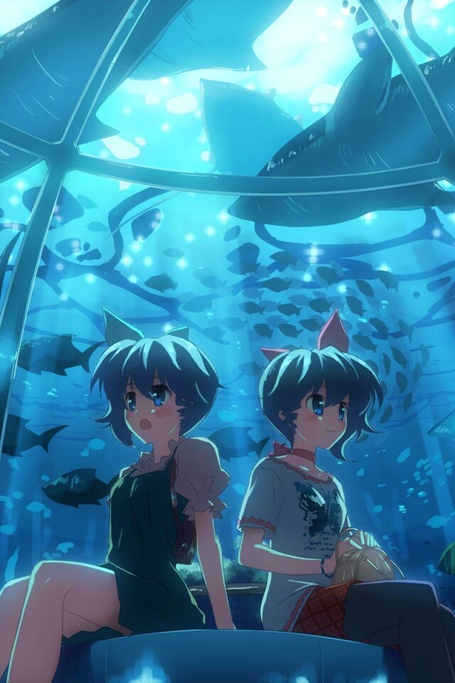 В океанариуме обои