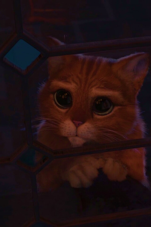 Кот в сапогах обои