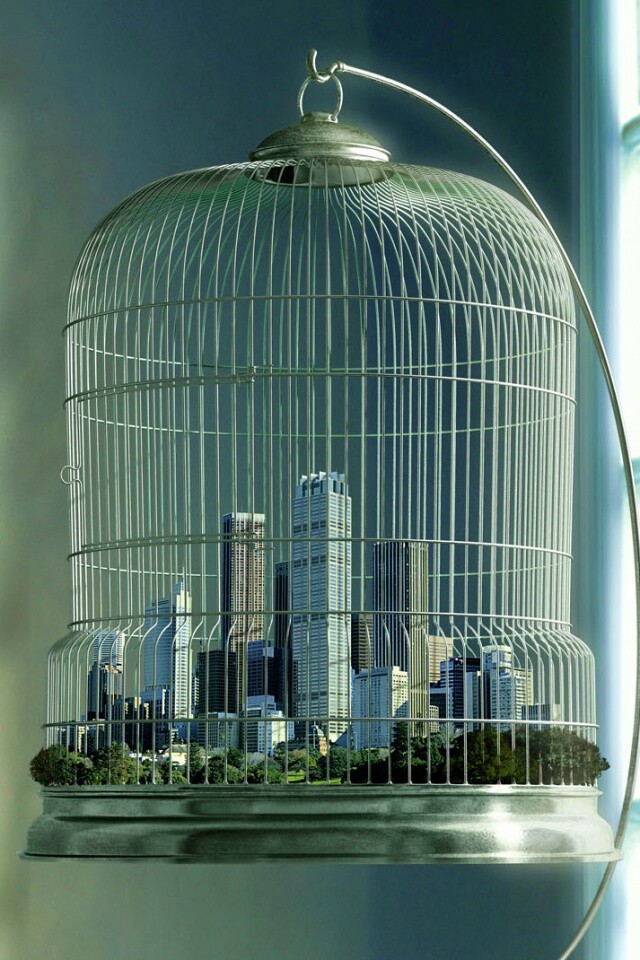 Город в клетке обои