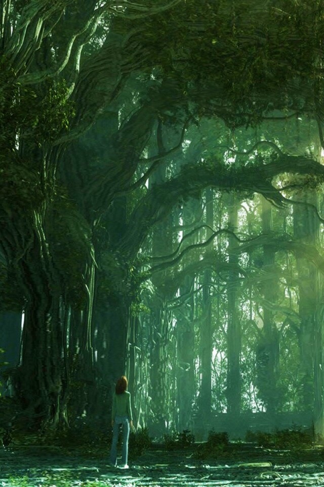 Одна в сумеречном лесу обои