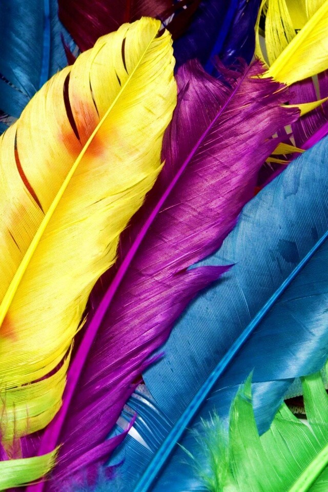 Разноцветные перья обои