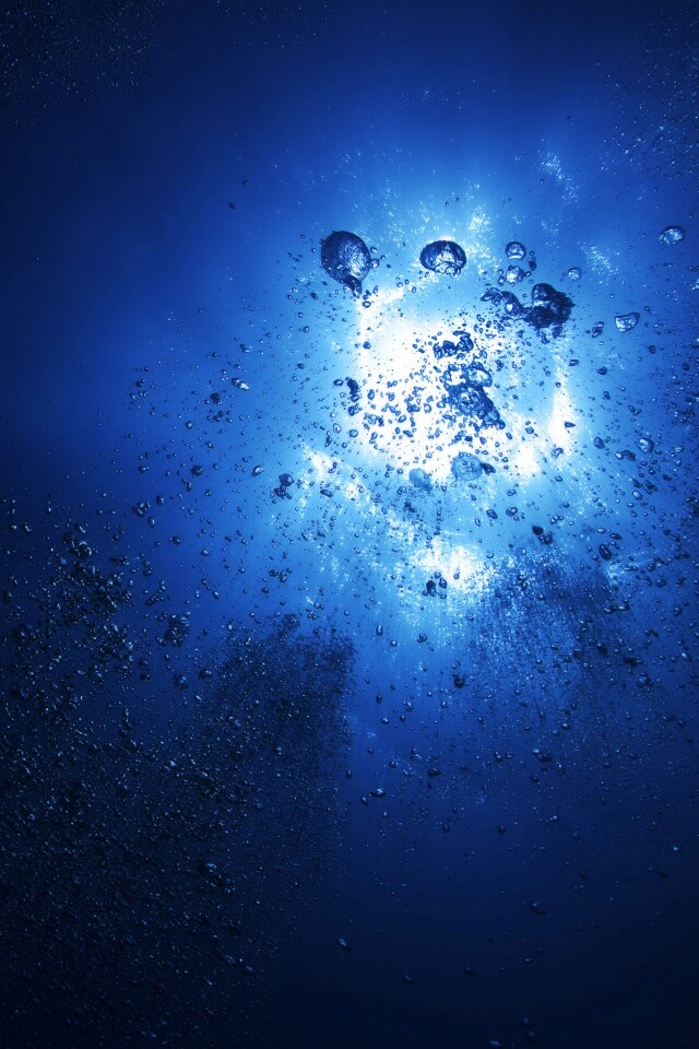 Всплывающие пузыри обои