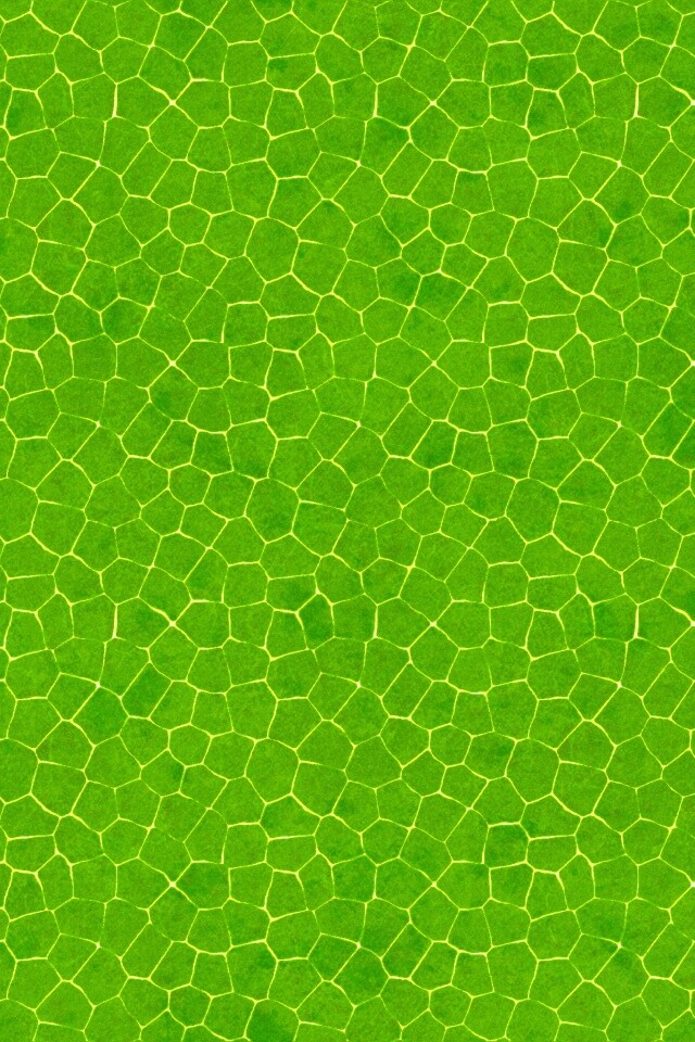 Зелёные сегменты обои