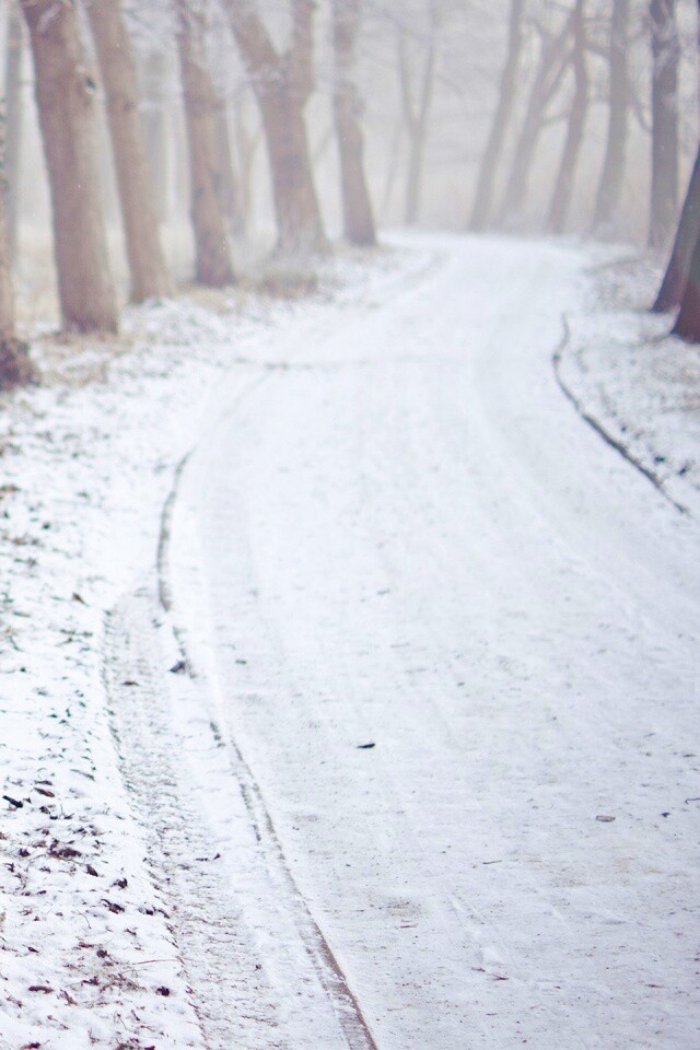 Дорога в зимнем лесу обои