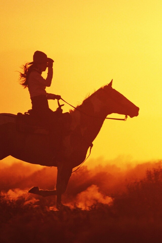 Наездница на закате обои
