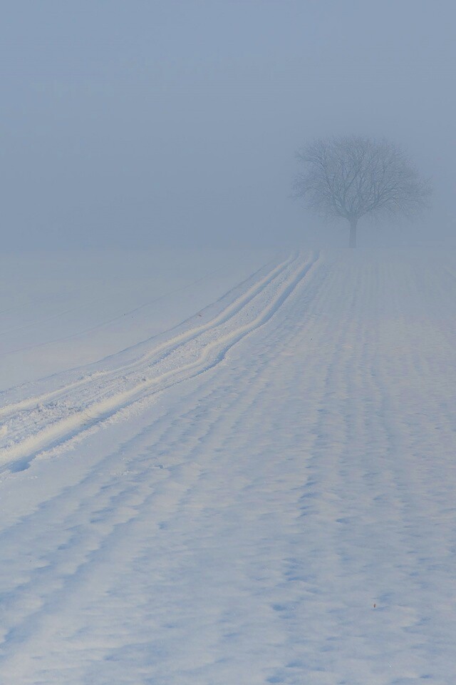 Заснеженное поле обои