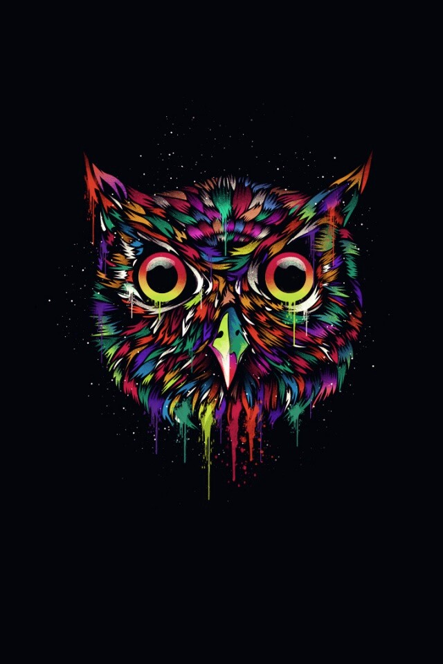 Векторная совиная голова обои