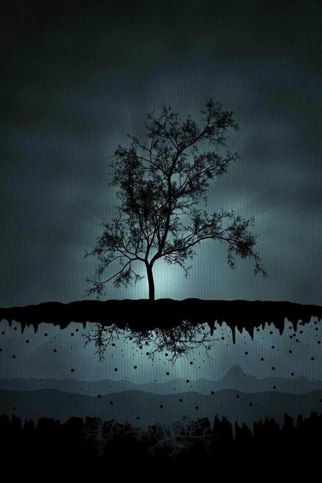 Когда деревья летают обои