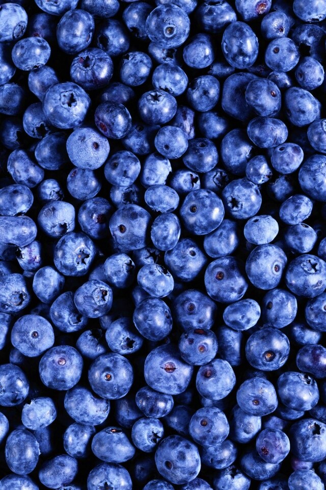 Черника обои