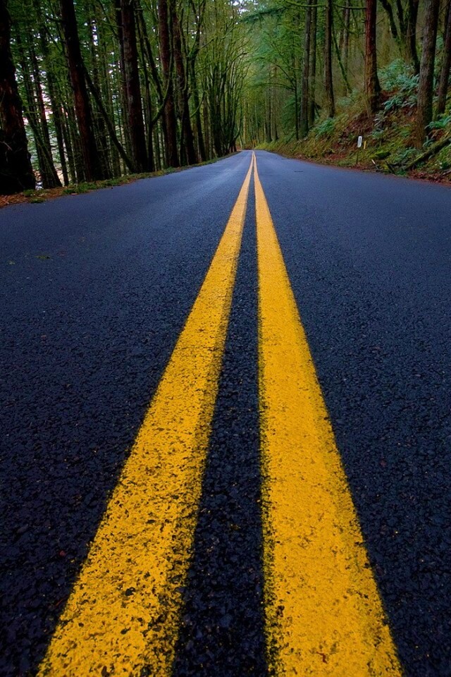 Дорога в лесу обои