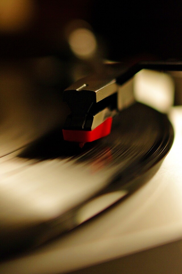 Пластинка обои