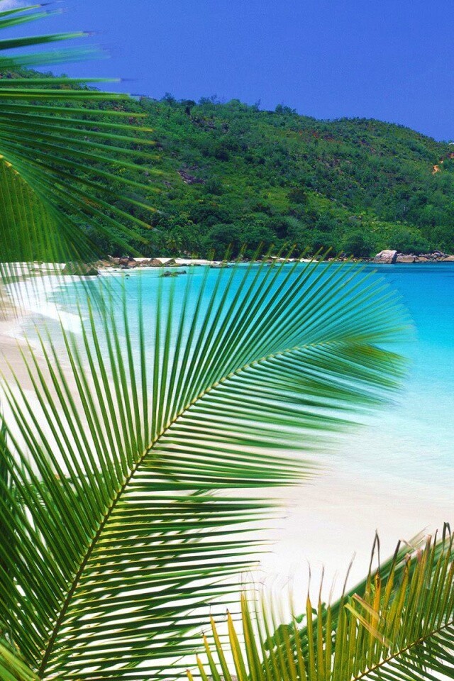 Лазурная лагуна обои