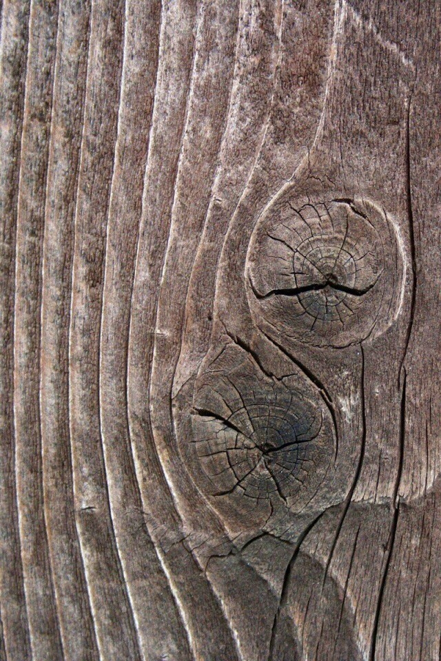 Сучковатое дерево обои