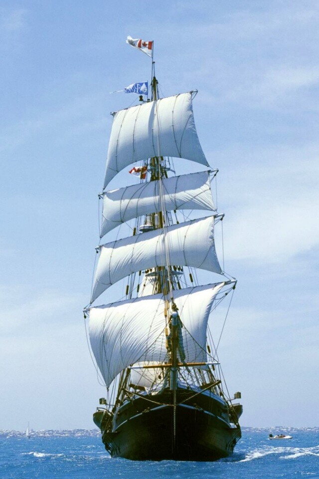 Парусник обои