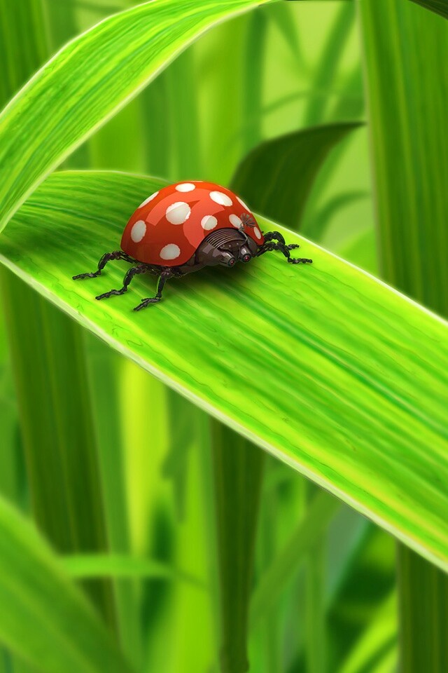 Милая божья коровка робот обои