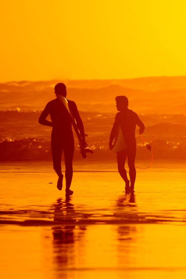 Серфингисты обои