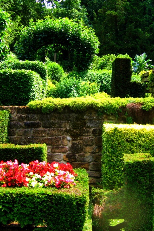 Декоративный сад обои