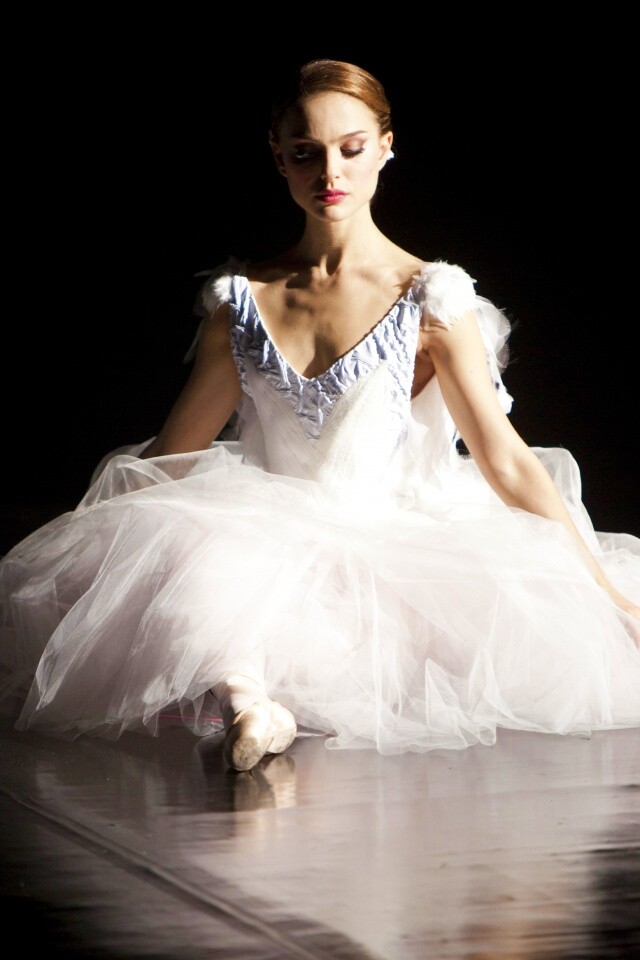 Черный лебедь обои