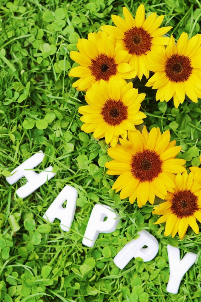 Радость обои