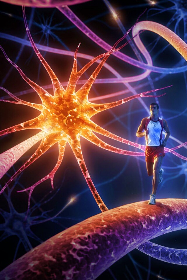 Бег мыслей обои