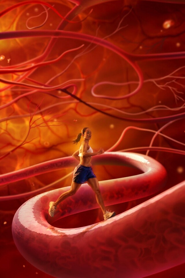 Бег крови обои