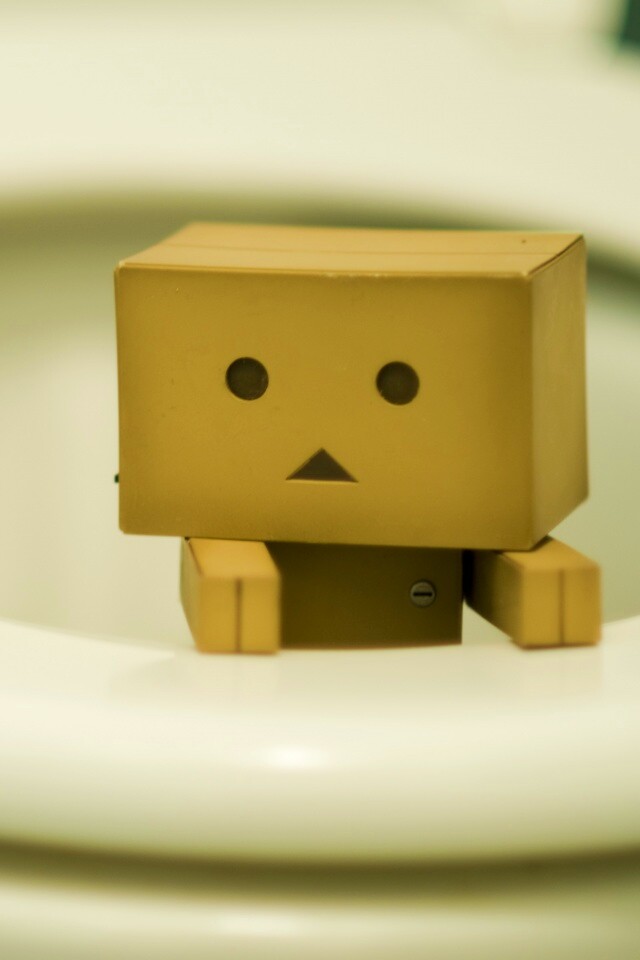 Danbo в унитазе обои