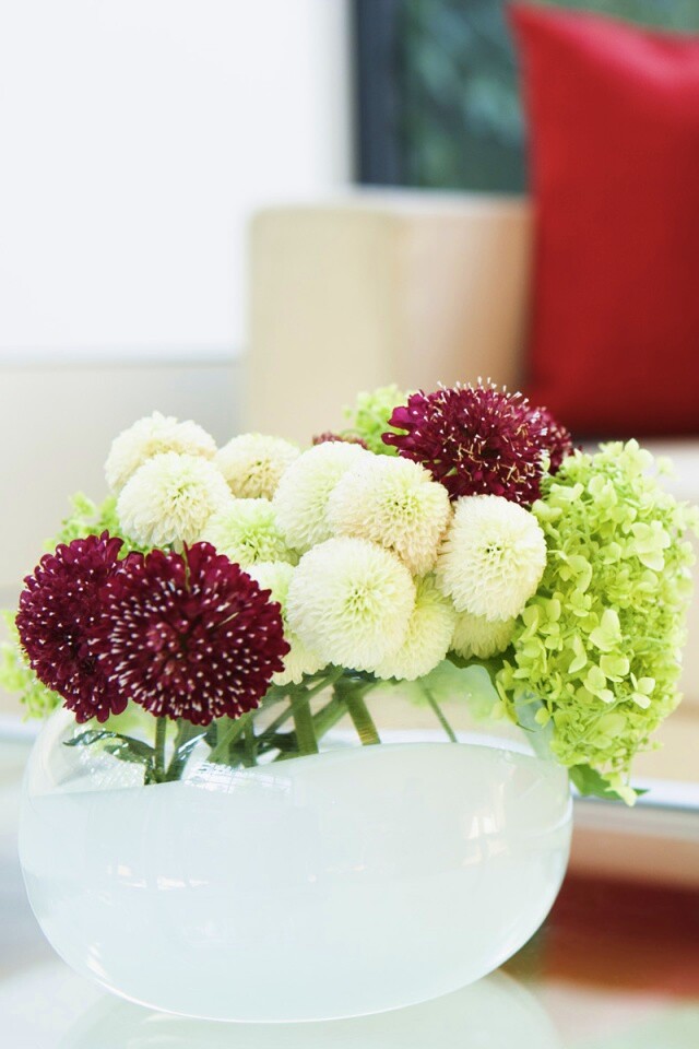 Цветы в белой вазе обои