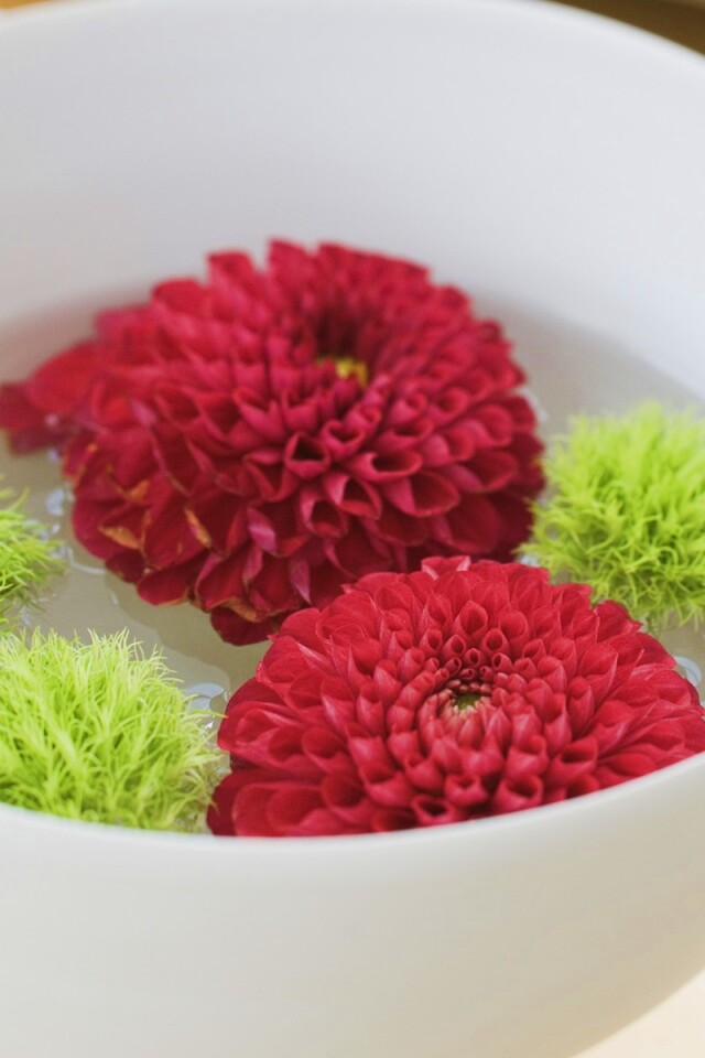 Чаша с цветами обои